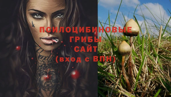 скорость mdpv Няндома